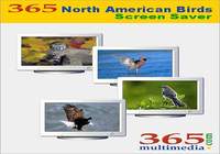 365 North American Birds Screen Saver