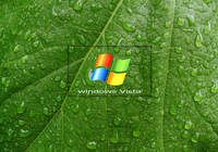 Free Windows Vista Screensaver pour mac