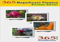 365 Magnificent Flowers Screen Saver