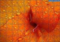Puzzle Fleur 3 pour mac