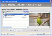 Easy Digital Photo Recovery pour mac