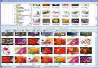 Socusoft 3GP Photo Slideshow pour mac
