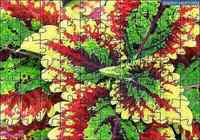 Puzzle Fleur 6