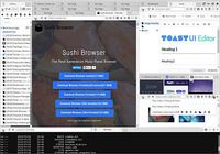 Sushi Browser pour mac