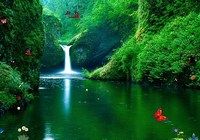 Green Waterfalls pour mac
