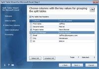 Split Table Wizard for Microsoft Excel pour mac