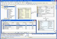 MicroOLAP Database Designer for MySQL pour mac