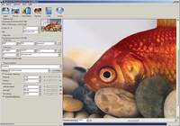 Shortcut PhotoZoom Professional pour mac