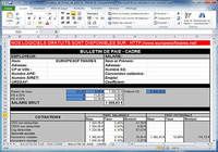 Fiche de paie personnalisable (format Excel)
