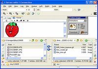 AceFTP 3 Freeware