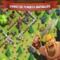 Télécharger Clash of Clans Android