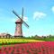 Télécharger Windmill 3D Screensaver