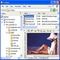 Télécharger Explorer View Outlook File Previewer