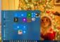 Télécharger Thème Windows 10 Animaux de Noël